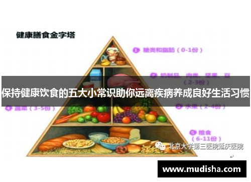 保持健康饮食的五大小常识助你远离疾病养成良好生活习惯