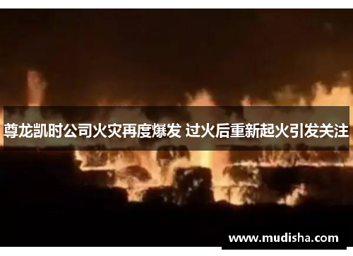 尊龙凯时公司火灾再度爆发 过火后重新起火引发关注