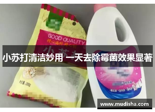 小苏打清洁妙用 一天去除霉菌效果显著